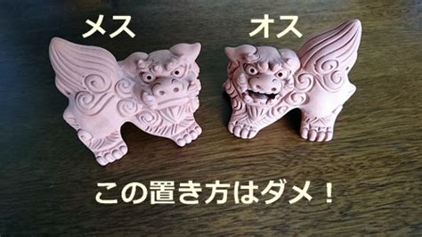 招財獅|【南島的熱情】守護著沖繩的沖繩獅（風獅爺） SHISA 介紹 ♥ 送。